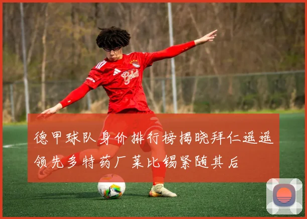 德甲球队身价排行榜揭晓拜仁遥遥领先多特药厂莱比锡紧随其后