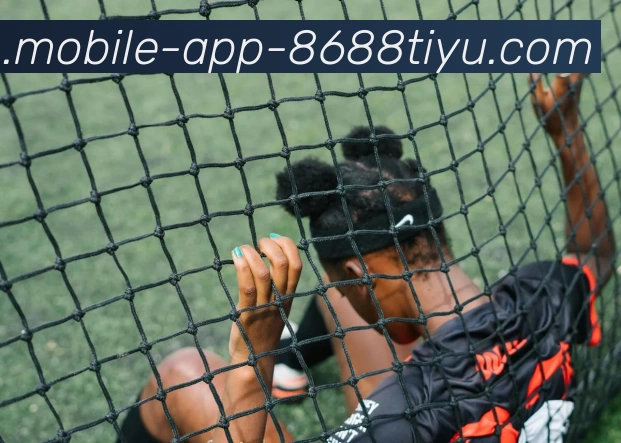 8868体育APP 体育赛事宣传图